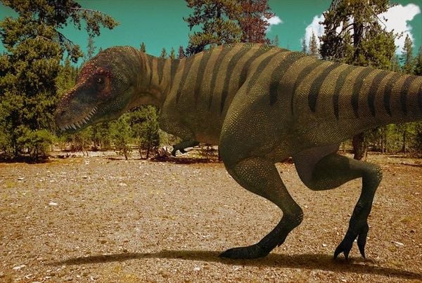 Produktbild: Dinosaurier - Im Reich der Giganten/Neuauflage [5 DVDs]