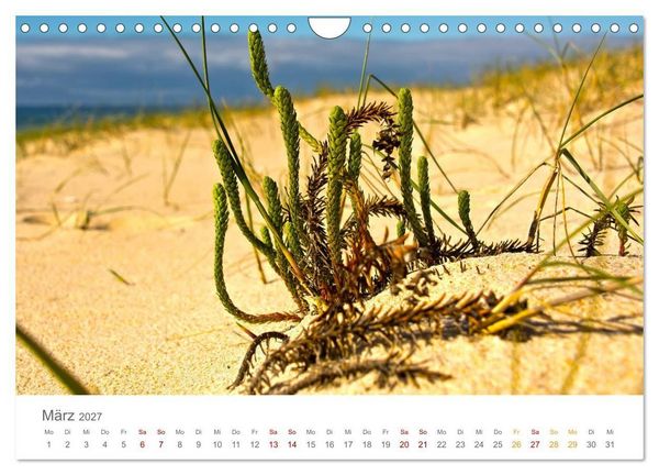 Produktbild: Alentejo Portugal - K&uuml;stenimpressionen (Wandkalender 2027 DIN A4 quer), CALVENDO Monatskalender