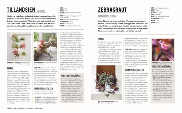 Produktbild: Gr&uuml;nes Gartenwissen. Die sch&ouml;nsten Zimmerpflanzen