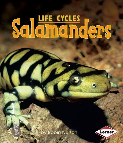 Produktbild: Salamanders