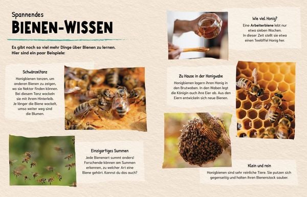 Produktbild: Sind Bienen kleine Superhelden? (Gute Frage!)