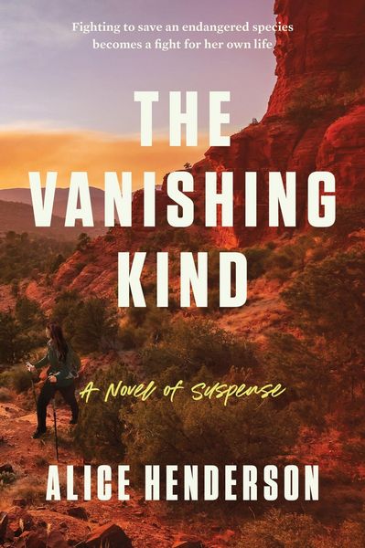 Produktbild: The Vanishing Kind