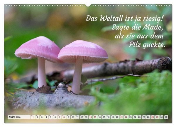 Produktbild: Junge, was hast du`s eilig (Wandkalender 2026 DIN A2 quer), CALVENDO Monatskalender
