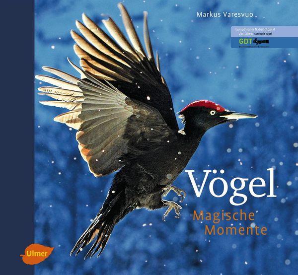 Produktbild: V&ouml;gel - Magische Momente