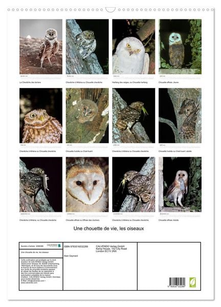 Produktbild: Une chouette de vie, les oiseaux (Calendrier mural 2026 DIN A2 horizontal), CALVENDO calendrier mensuel