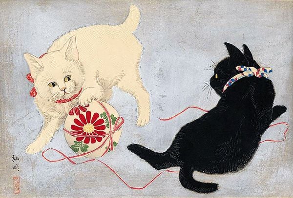 Produktbild: Katzen