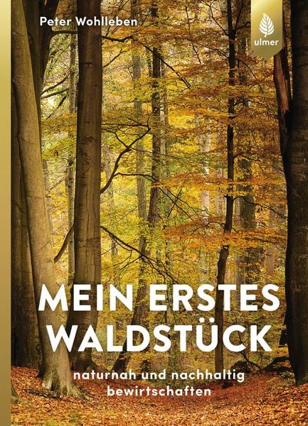 Mein erstes Waldstück