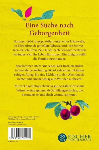 Produktbild: Schwestern in einem anderen Leben