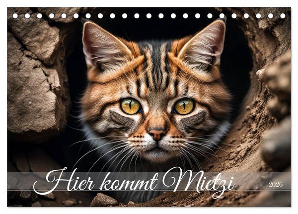 Hier kommt Mietzi (Tischkalender 2026 DIN A5 quer), CALVENDO Monatskalender