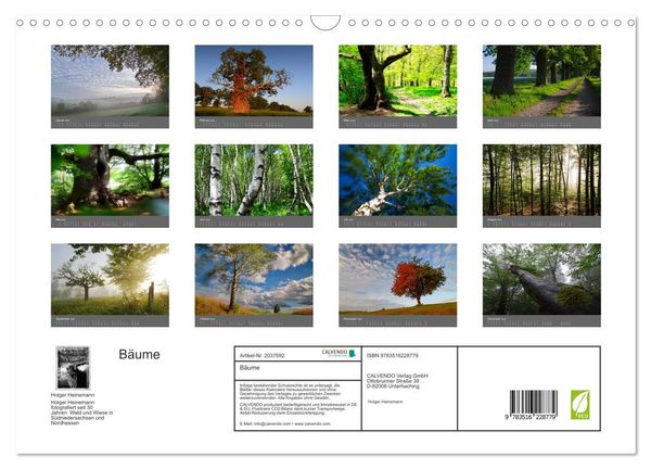Produktbild: B&auml;ume (Wandkalender 2026 DIN A3 quer), CALVENDO Monatskalender