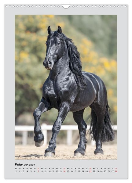 Produktbild: Friesenpferde. Schwarze Eleganz in der Natur (Wandkalender 2027 DIN A3 hoch), CALVENDO Monatskalender