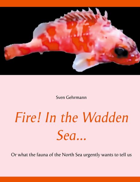 Produktbild: Fire! In the Wadden Sea...