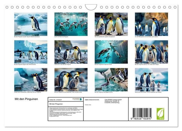 Produktbild: Mit den Pinguinen (Wandkalender 2026 DIN A4 quer), CALVENDO Monatskalender