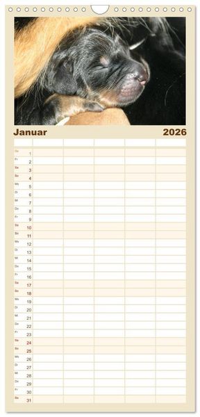 Produktbild: Familienplaner 2026 - Hovawarte - einmal anders mit 5 Spalten (Wandkalender, 21 x 45 cm) CALVENDO