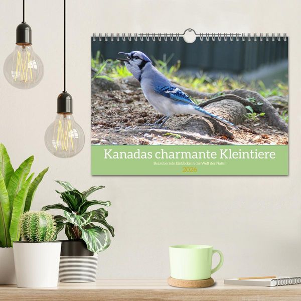 Produktbild: Kanadas charmante Kleintiere - Bezaubernde Einblicke in die Natur (Wandkalender 2026 DIN A4 quer), CALVENDO Monatskalender