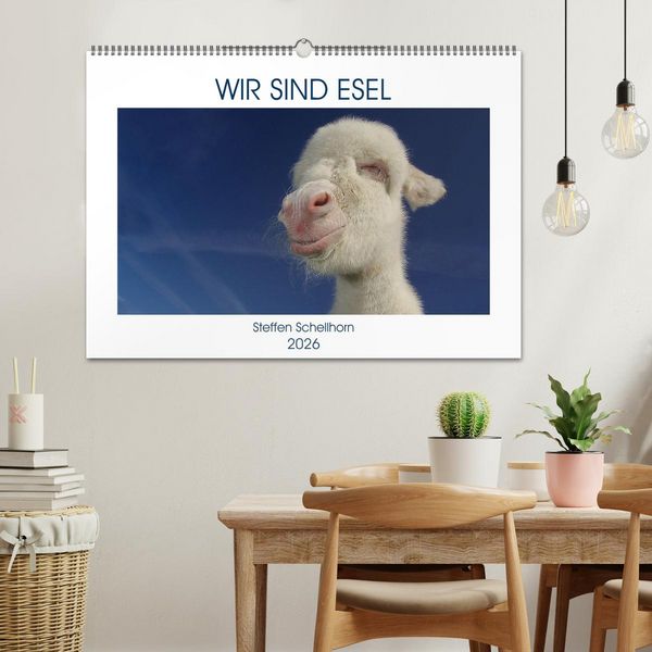 Produktbild: WIR SIND ESEL (Wandkalender 2026 DIN A2 quer), CALVENDO Monatskalender