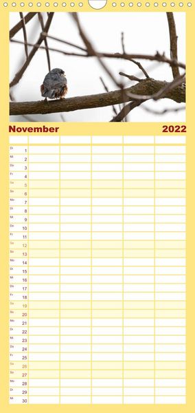 Produktbild: Familienplaner Gartenv&ouml;gel (Wandkalender 2022 , 21 cm x 45 cm, hoch)
