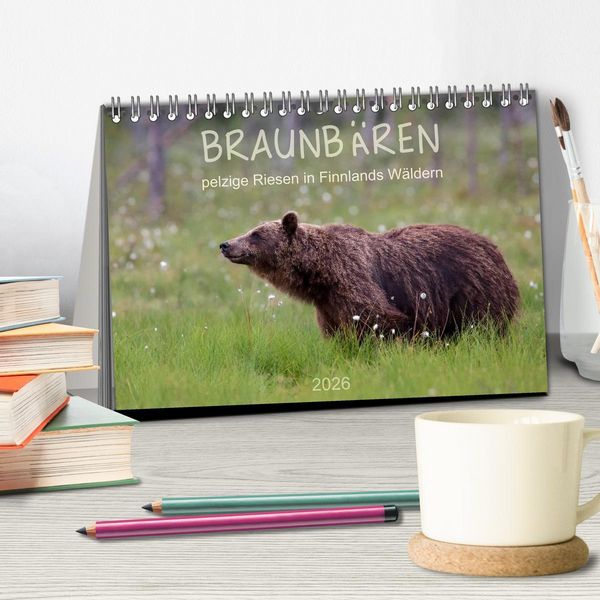 Produktbild: Braunb&auml;ren - pelzige Riesen in Finnlands W&auml;ldern (Tischkalender 2026 DIN A5 quer), CALVENDO Monatskalender