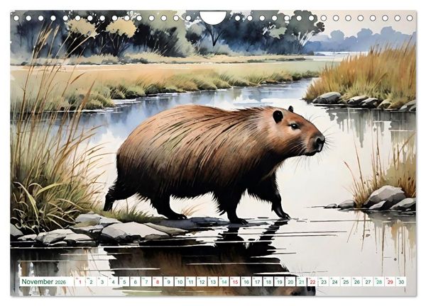 Produktbild: Das Capybara (Wandkalender 2026 DIN A4 quer), CALVENDO Monatskalender
