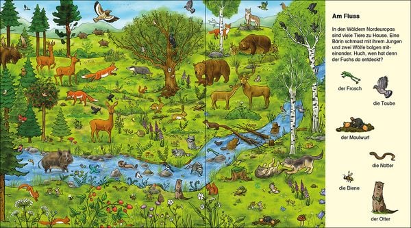 Produktbild: Suche und finde! - Wilde Tiere