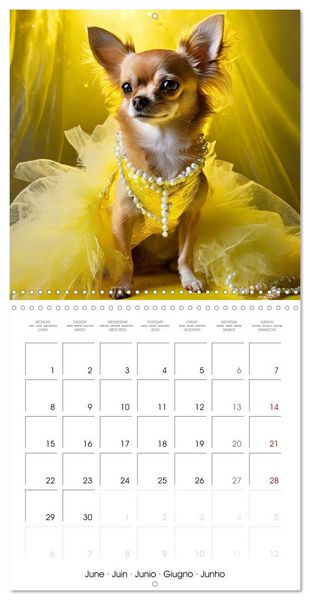 Produktbild: Grand Divas of the Dog World (Wall Calendar 2026 12 &times; 12 Inch) CALVENDO 12 Month Wall Calendar