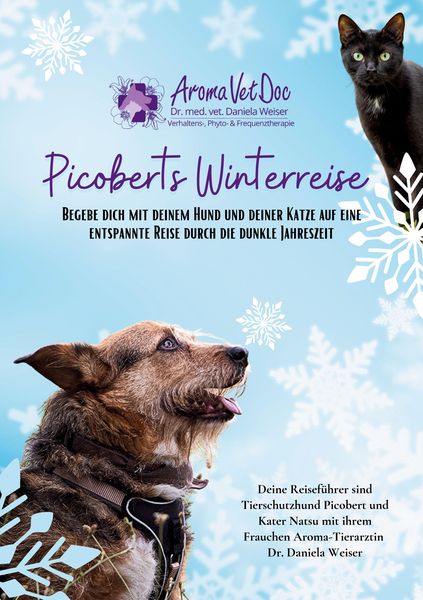 Produktbild: Picoberts Winterreise