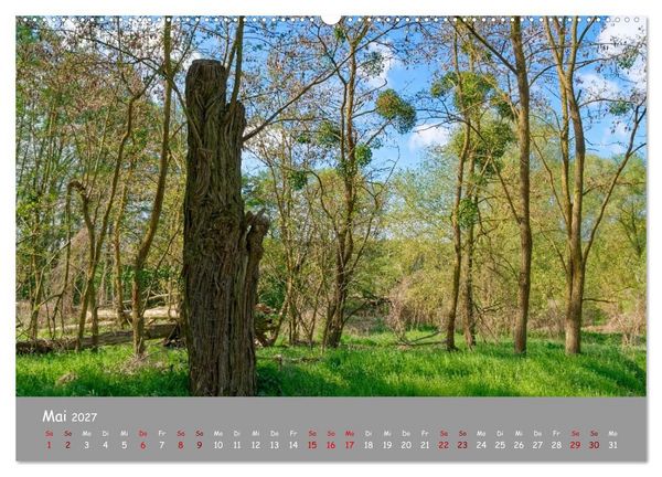 Produktbild: Biosph&auml;renreservat Schorfhede-Chorin (Wandkalender 2027 DIN A2 quer), CALVENDO Monatskalender