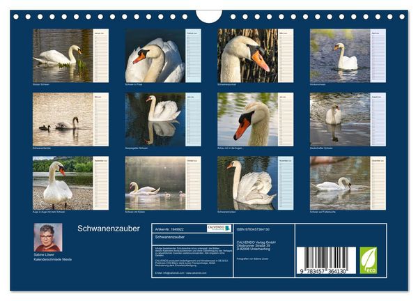 Produktbild: Schwanenzauber (Wandkalender 2026 DIN A4 quer), CALVENDO Monatskalender