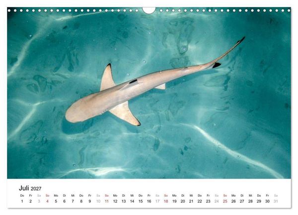 Produktbild: Malediven &ndash; Das Paradies im Indischen Ozean III (Wandkalender 2027 DIN A3 quer), CALVENDO Monatskalender