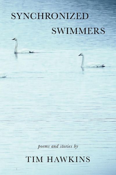 Produktbild: Synchronized Swimmers