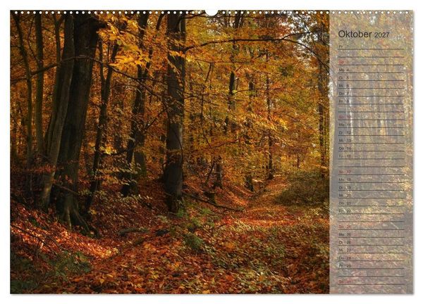 Produktbild: Unser Wald - Magische Sichten in norddeutsche W&auml;lder / Geburtstagskalender (hochwertiger Premium Wandkalender 2027 DIN A2 quer), Kunstdruck in Hochglanz