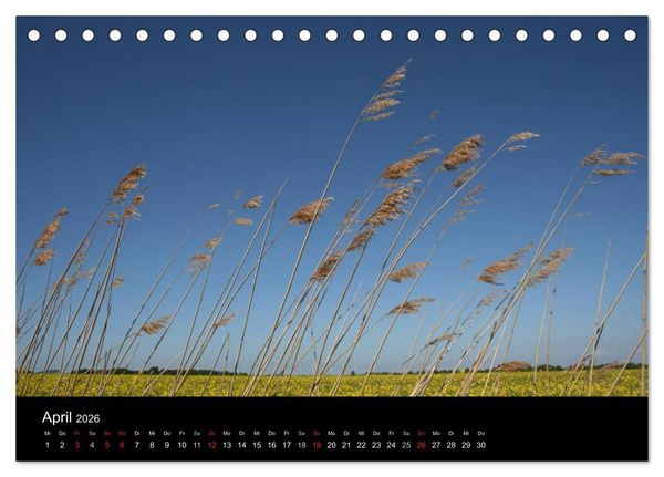 Produktbild: Wunderbare Nordsee (Tischkalender 2026 DIN A5 quer), CALVENDO Monatskalender