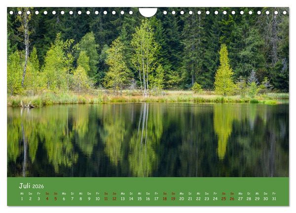 Produktbild: Wassertr&auml;ume im Schwarzwald (Wandkalender 2026 DIN A4 quer), CALVENDO Monatskalender