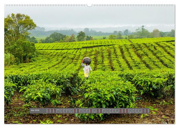 Produktbild: Entdecke Sumatra (hochwertiger Premium Wandkalender 2026 DIN A2 quer), Kunstdruck in Hochglanz