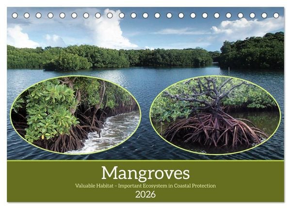 Produktbild: Mangroves - Valuable Habitat (Desk Calendar 2026 DIN A5 landscape), CALVENDO 12 Month DeskCalendar