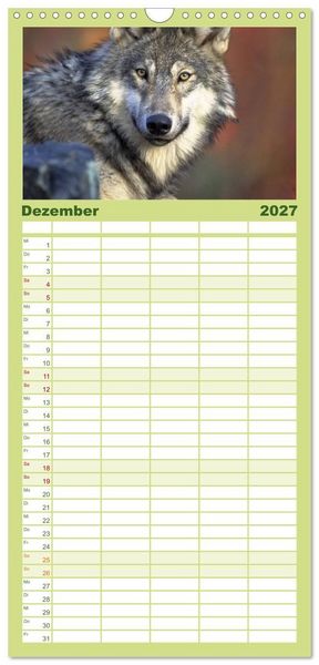 Produktbild: Familienplaner 2027 - W&ouml;lfe. Verwegene Anmut mit 5 Spalten (Wandkalender, 21 x 45 cm) CALVENDO