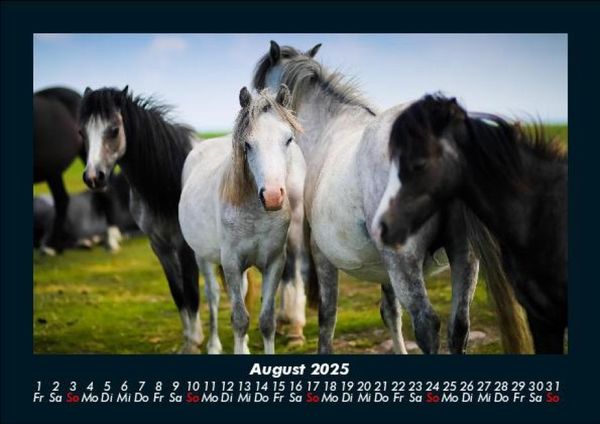 Produktbild: Pferdegefl&uuml;ster 2025 Fotokalender DIN A5