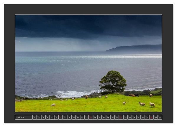 Produktbild: IRLAND - Insel der gl&uuml;cklichen Schafe (Tischkalender 2026 DIN A5 quer), CALVENDO Monatskalender