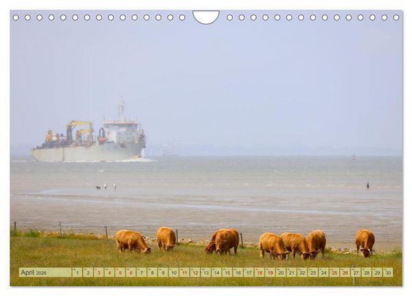 Produktbild: Cuxland, Urlaubsgl&uuml;ck zwischen Nordsee und Elbe (Wandkalender 2026 DIN A4 quer), CALVENDO Monatskalender
