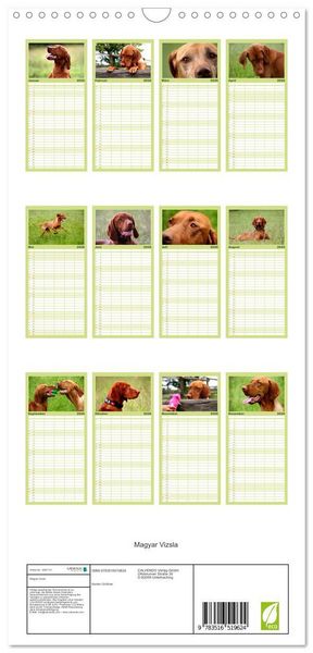 Produktbild: Familienplaner 2026 - Magyar Vizsla mit 5 Spalten (Wandkalender, 21 x 45 cm) CALVENDO