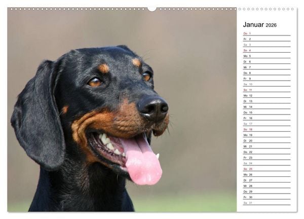 Produktbild: Der Brandlbracken-Terminplaner (hochwertiger Premium Wandkalender 2026 DIN A2 quer), Kunstdruck in Hochglanz