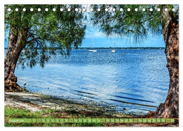 Produktbild: Florida - Sonnige Str&auml;nde und magische S&uuml;mpfe (Tischkalender 2026 DIN A5 quer), CALVENDO Monatskalender