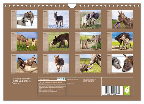 Produktbild: Das Esel-Paradies - Hunde und andere Feunde (Wandkalender 2026 DIN A4 quer), CALVENDO Monatskalender