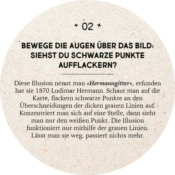 Adventskalender in der Dose. 24 optische Illusionen
