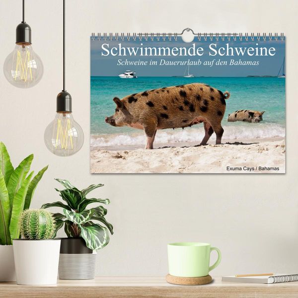 Produktbild: Schwimmende Schweine (Wandkalender 2026 DIN A4 quer), CALVENDO Monatskalender