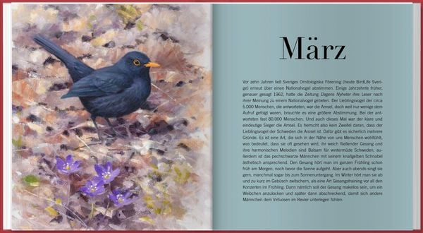 Produktbild: Der illustrierte Vogelkalender 2027