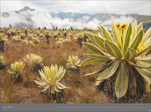 Produktbild: S&uuml;damerika - Edition Alexander von Humboldt Kalender 2027
