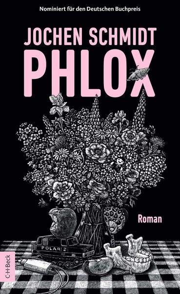 Produktbild: Phlox
