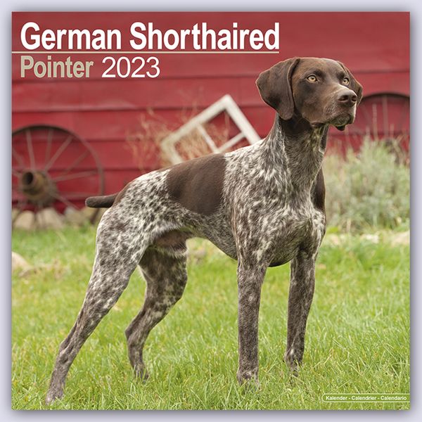 German Shorthaired Pointer - Deutsch Kurzhaar 2023 - 16-Monatskalender