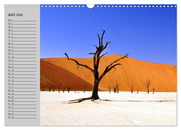 Produktbild: Magische B&auml;ume (Wandkalender 2026 DIN A3 quer), CALVENDO Monatskalender